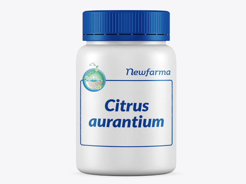 Citrus aurantium