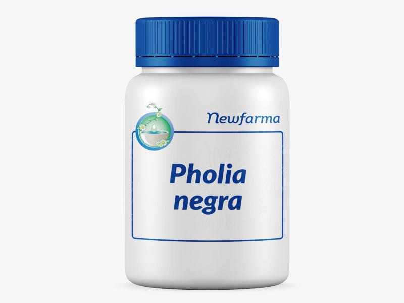 Pholia Negra