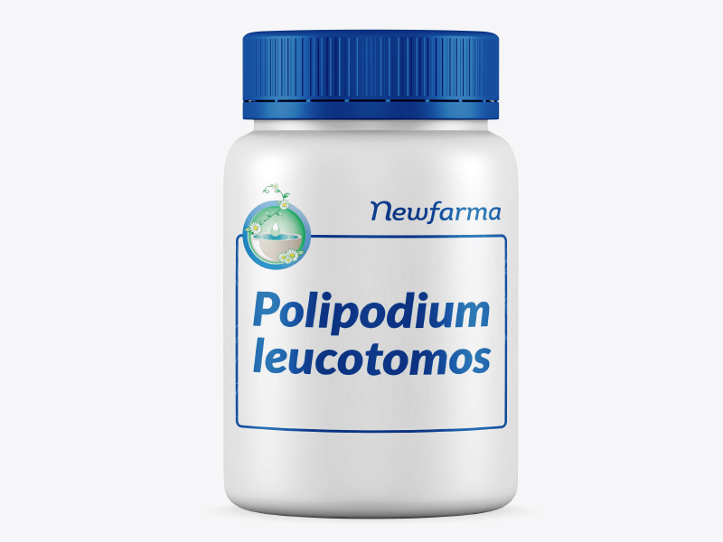 Polipodium leucotomos