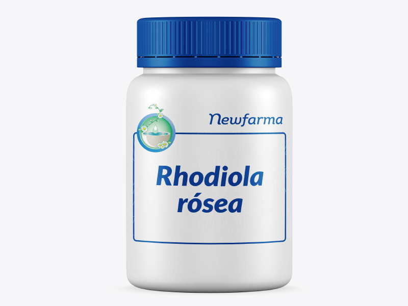 Rhodiola rósea